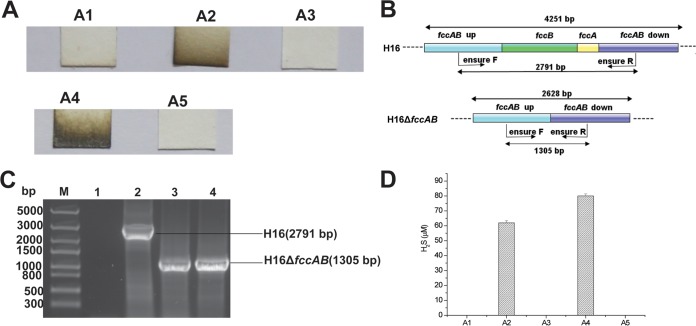 FIG 1