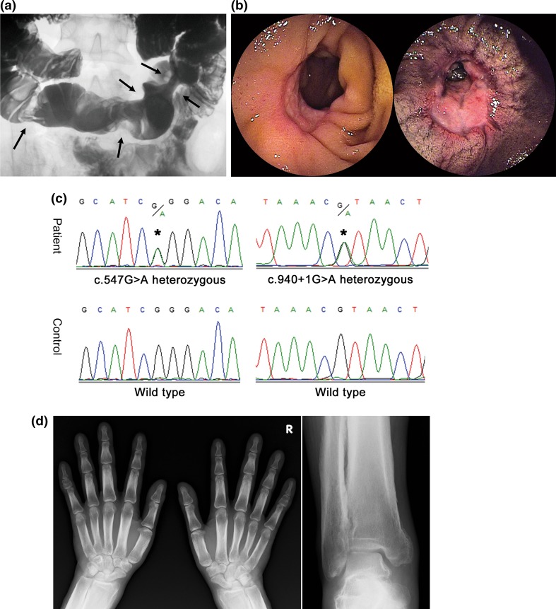 Fig. 3