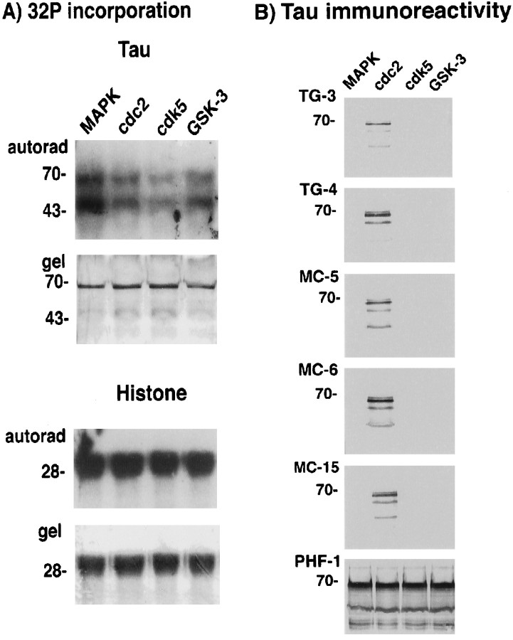 Fig. 8.