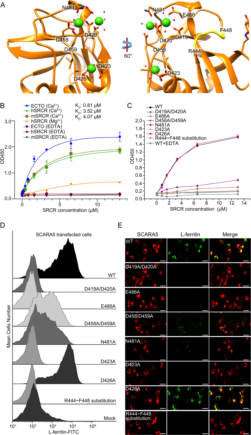 Figure 3.