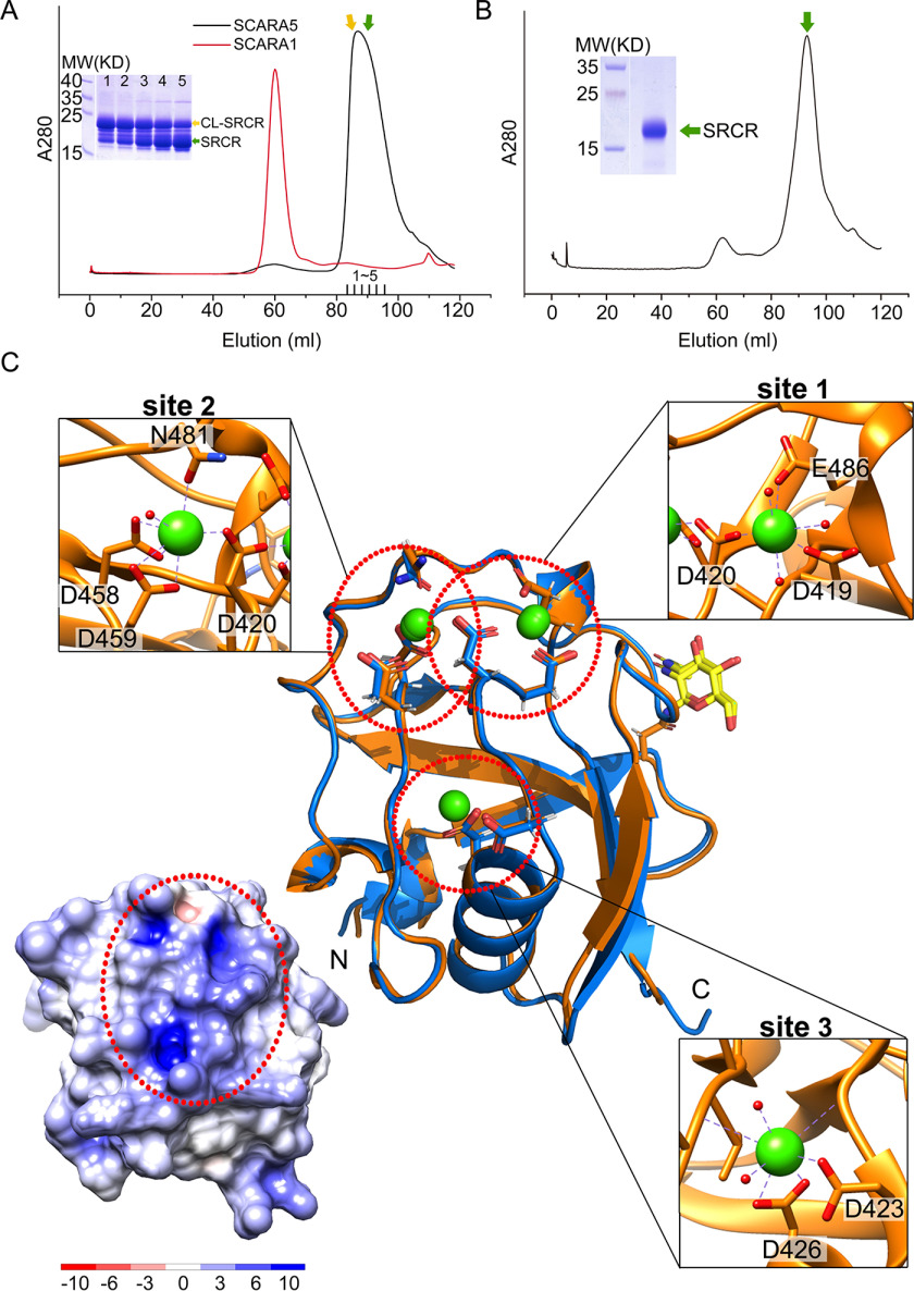 Figure 2.