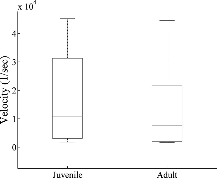 Fig 5