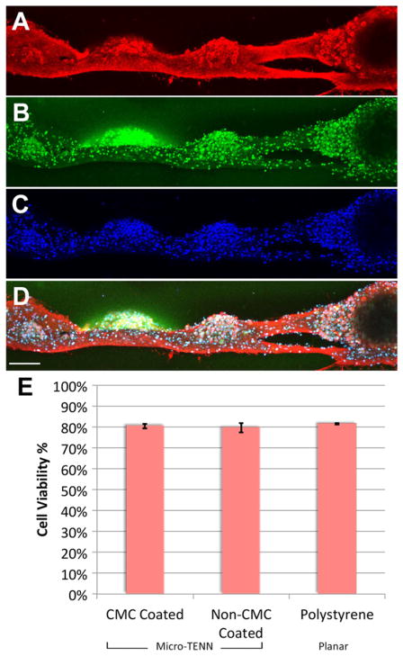 Figure 9