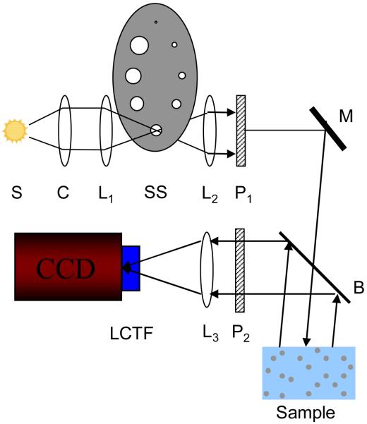 Figure. 1