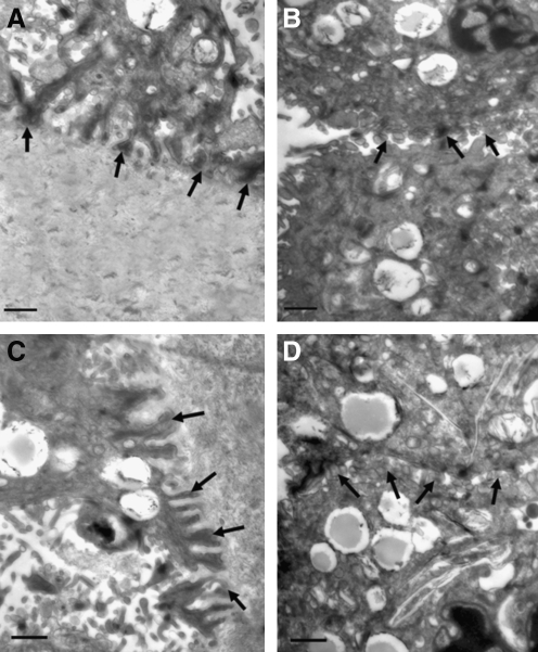 FIG. 7.