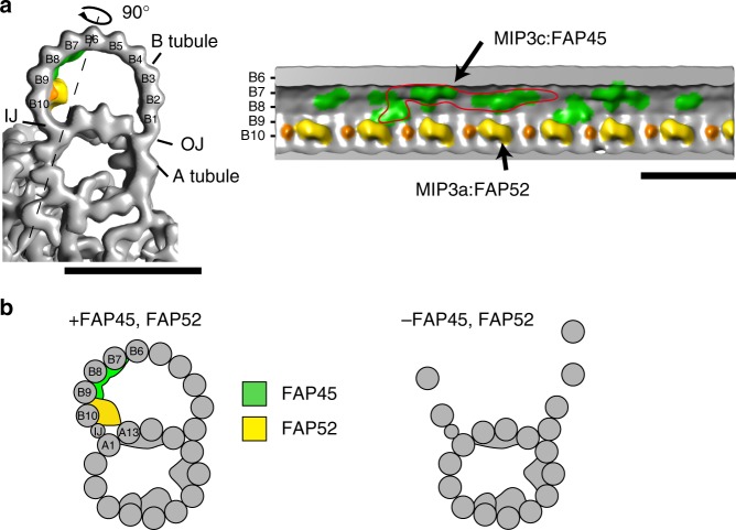 Fig. 7