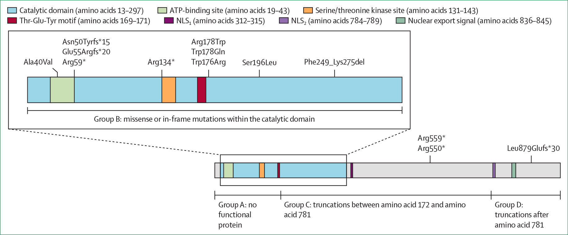 Figure 2: