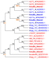 Figure 19