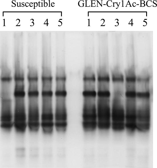 FIG. 5.