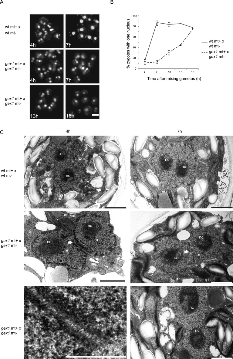 Figure 5.