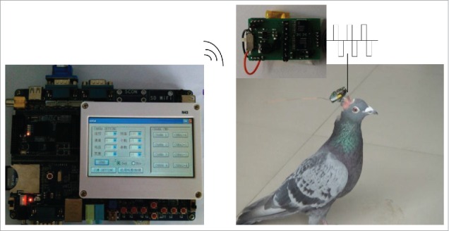 Figure 3.