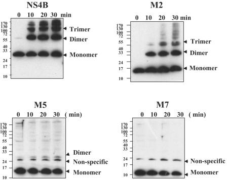 FIG. 6.