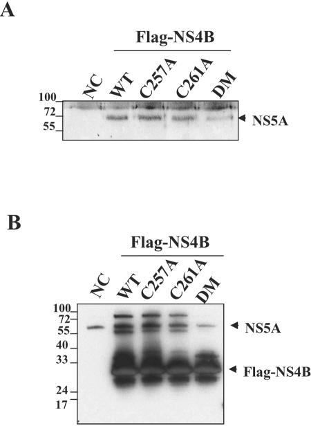 FIG. 3.