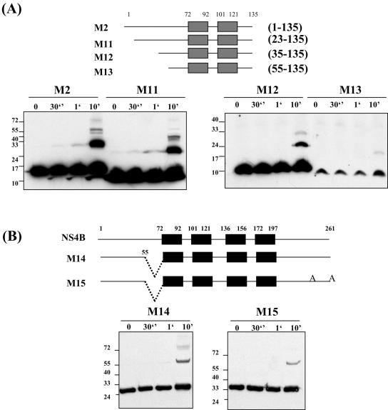 FIG. 8.