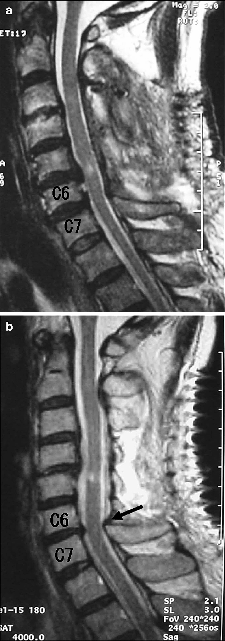 Fig. 4