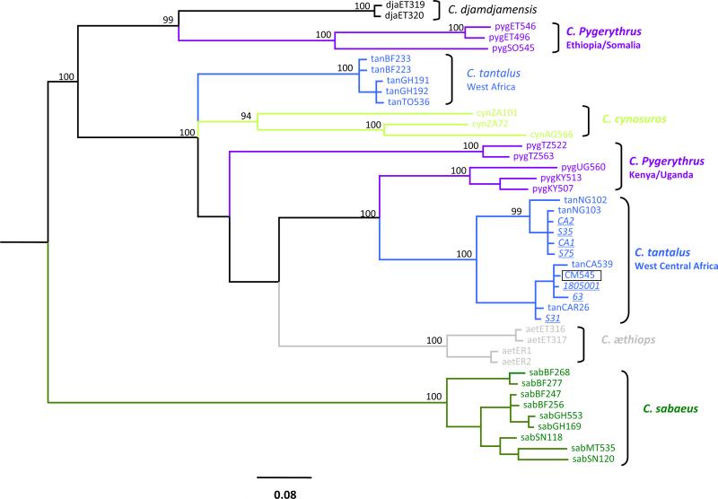 Fig. 3