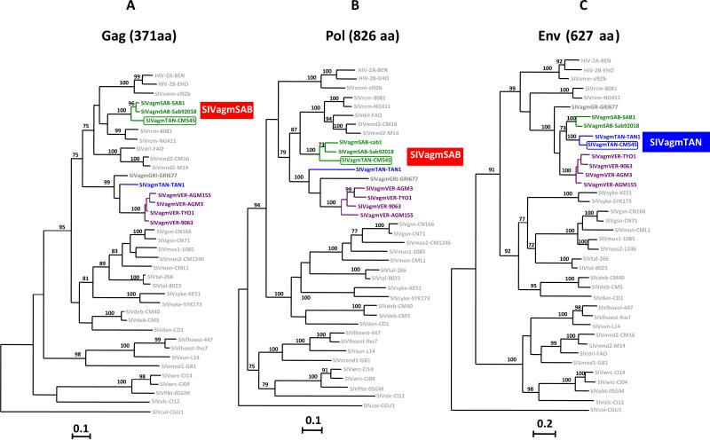 Fig. 4