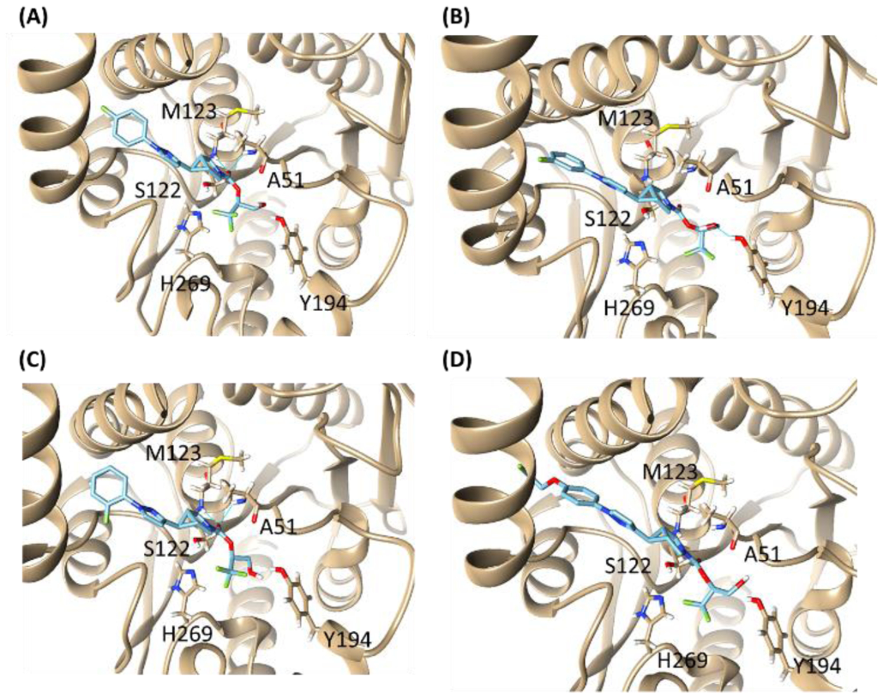 Figure 2.