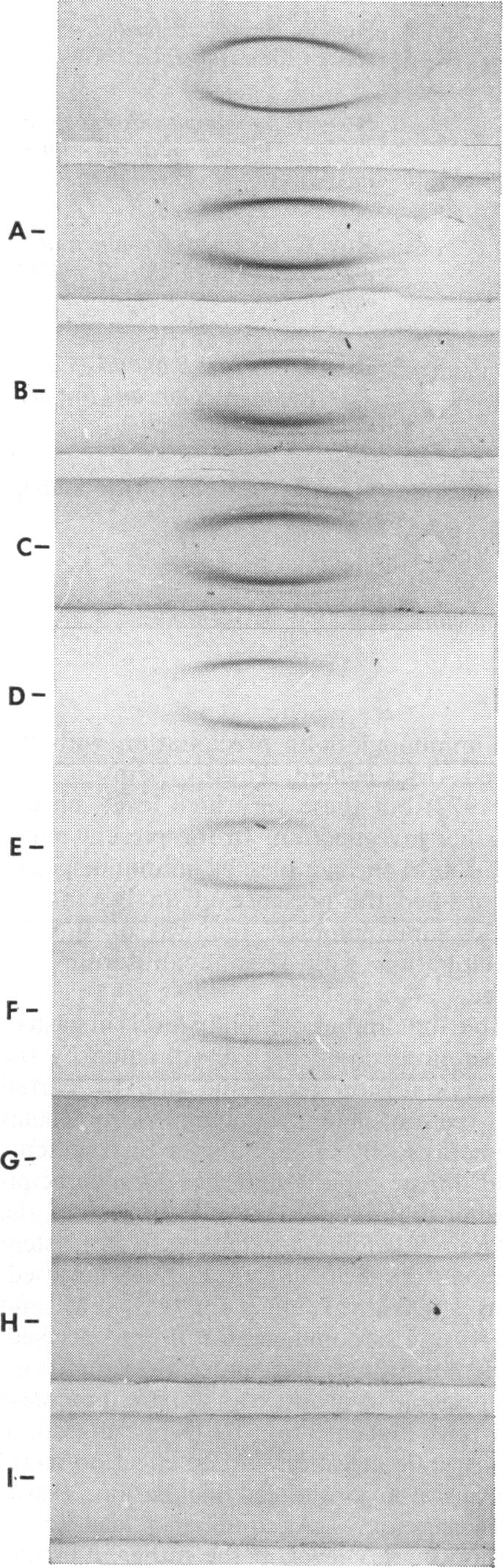 Fig 9