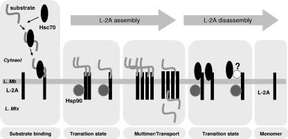 FIG. 10.