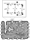 Fig. 1.