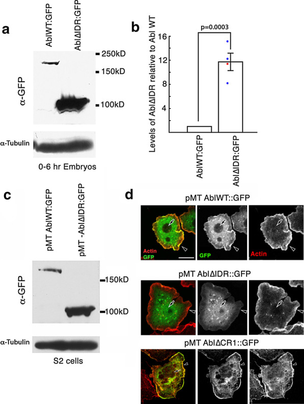 Fig. 9