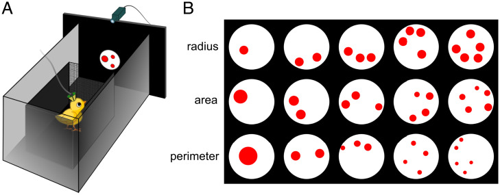 Fig. 1.