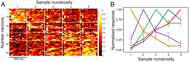 Fig. 3.