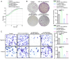 Figure 6. The impact of LINC00467 knockdown on GC cell malignancy was mediated by miR–141–3p. HGC27 cells were transfected with si–LINC00467 and miR–141–3p inhibitors or corresponding control construc...