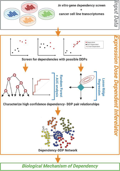 Figure 1: