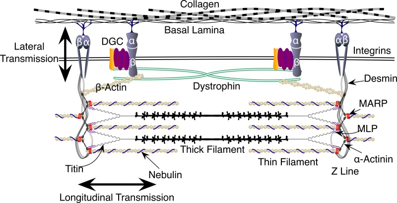 Fig. 3.