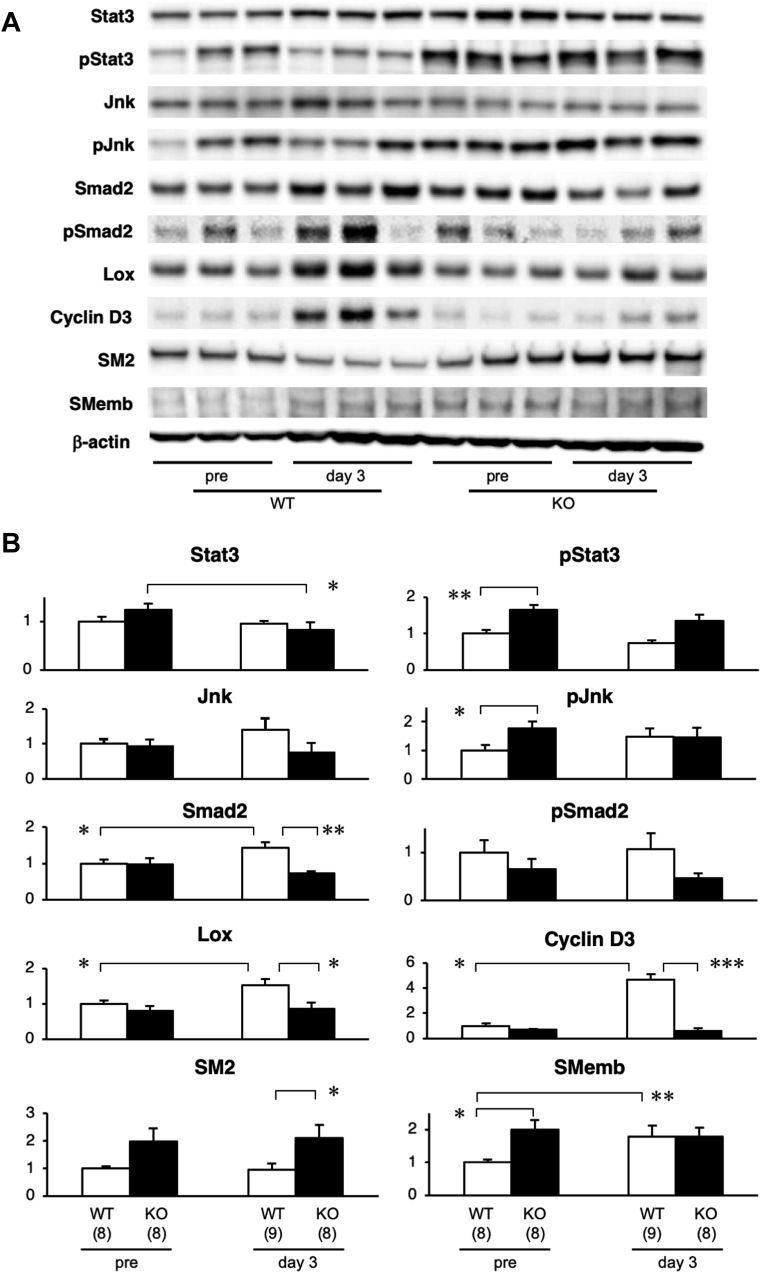 Figure 5