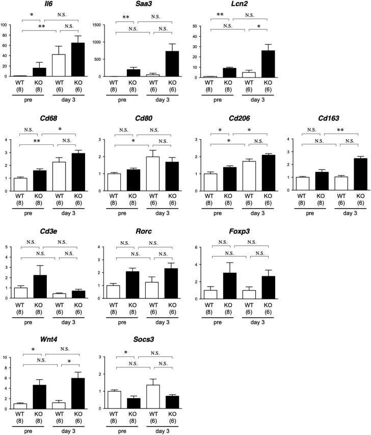 Figure 4