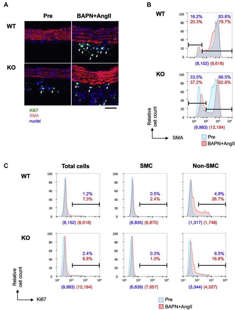 Figure 6