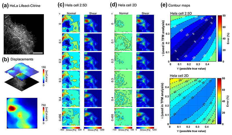 Fig. 4