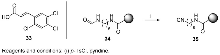 Scheme 5