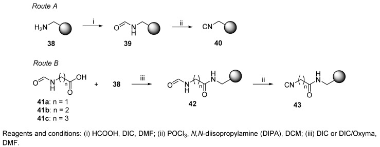 Scheme 7