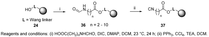 Scheme 6