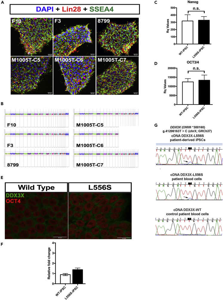 Figure 6