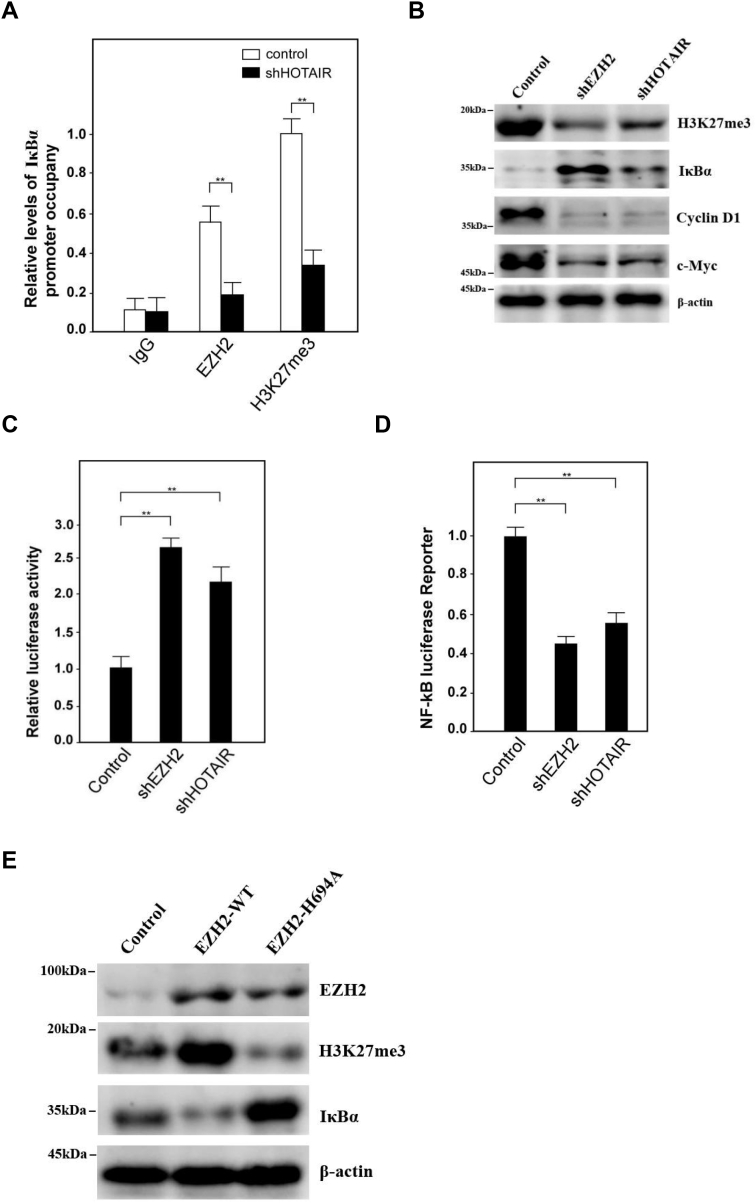 Figure 6