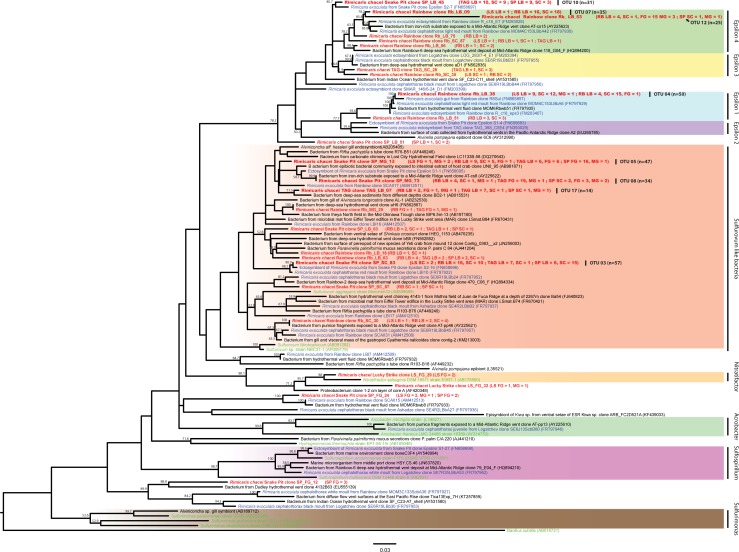 Fig 6