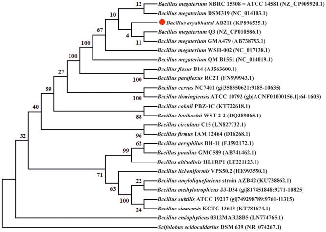 FIGURE 1