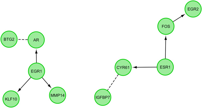 Fig. 10