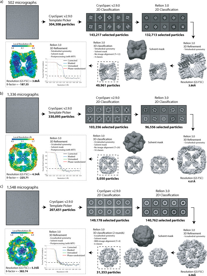 Figure 4—figure supplement 1.