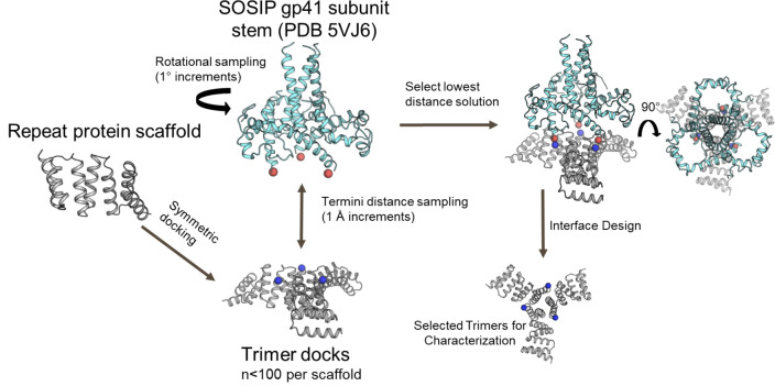 Figure 1—figure supplement 1.