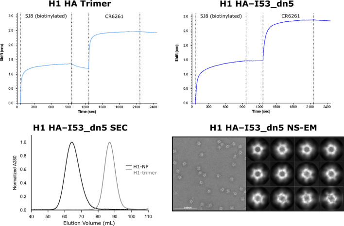 Figure 5—figure supplement 2.