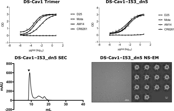 Figure 5—figure supplement 1.