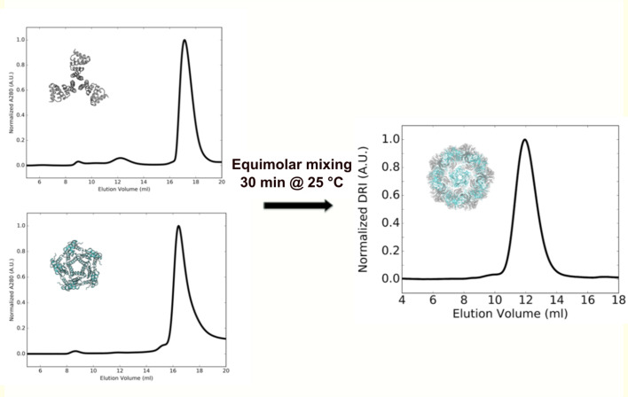 Figure 2—figure supplement 7.