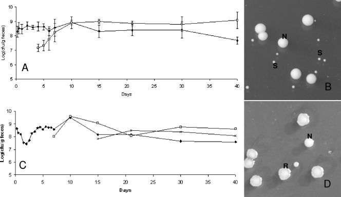 FIG. 2.