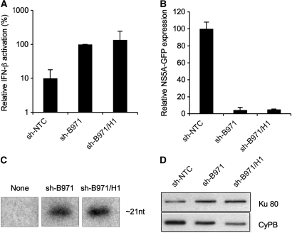 Figure 6.